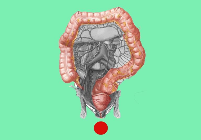 grafica cos'è il colon